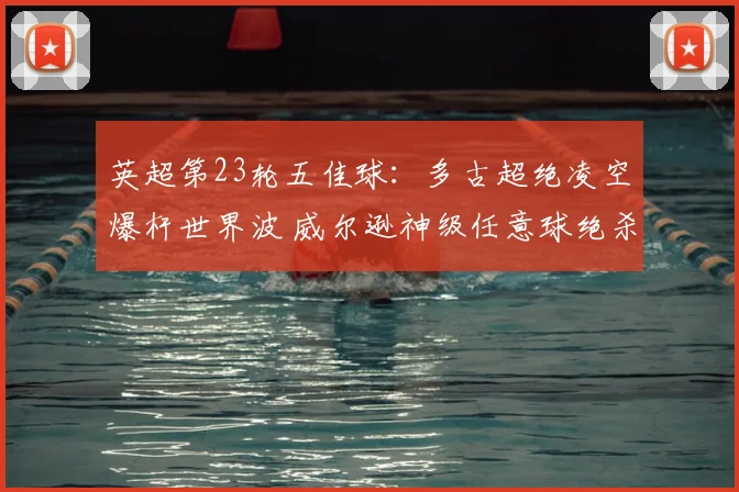 英超第23轮五佳球：多古超绝凌空爆杆世界波 威尔逊神级任意球绝杀