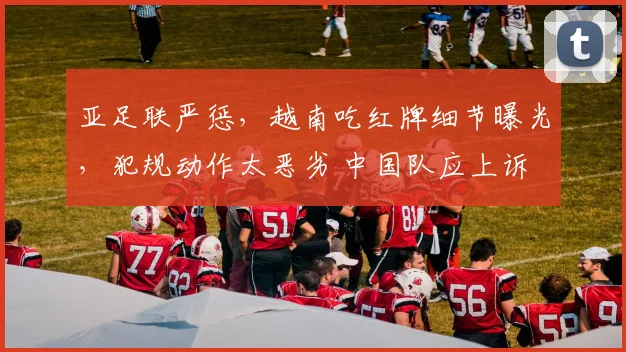亚足联严惩，越南吃红牌细节曝光，犯规动作太恶劣 中国队应上诉