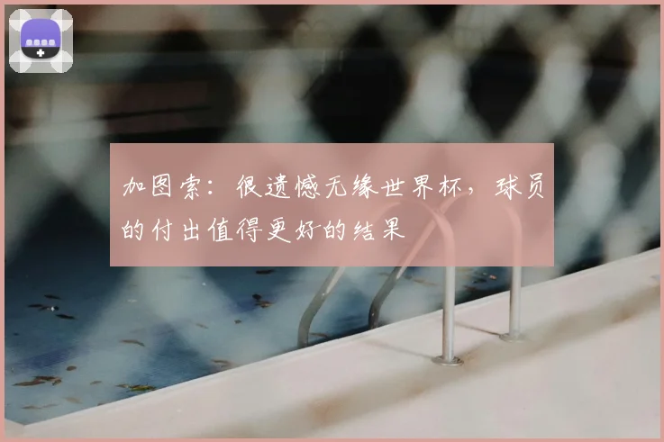 加图索：很遗憾无缘世界杯，球员的付出值得更好的结果