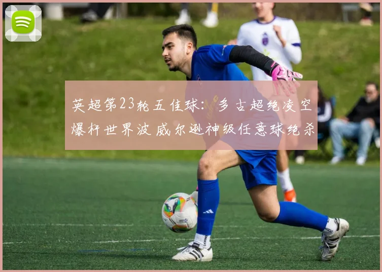 英超第23轮五佳球：多古超绝凌空爆杆世界波 威尔逊神级任意球绝杀